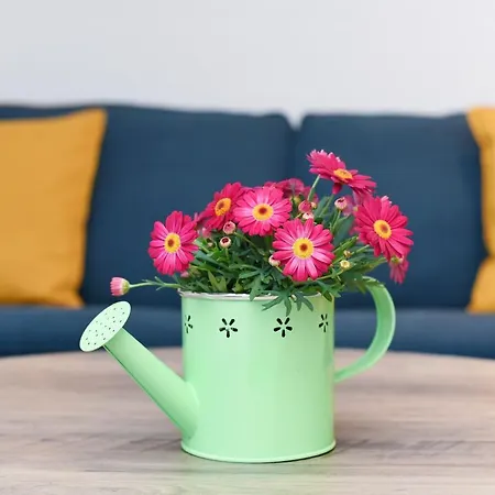 Wattgefluester Apartment *